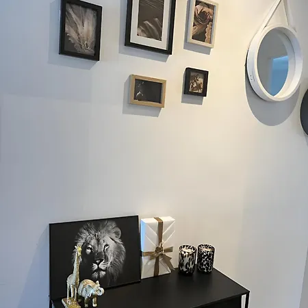 Gabriela Relax * 브라쇼브