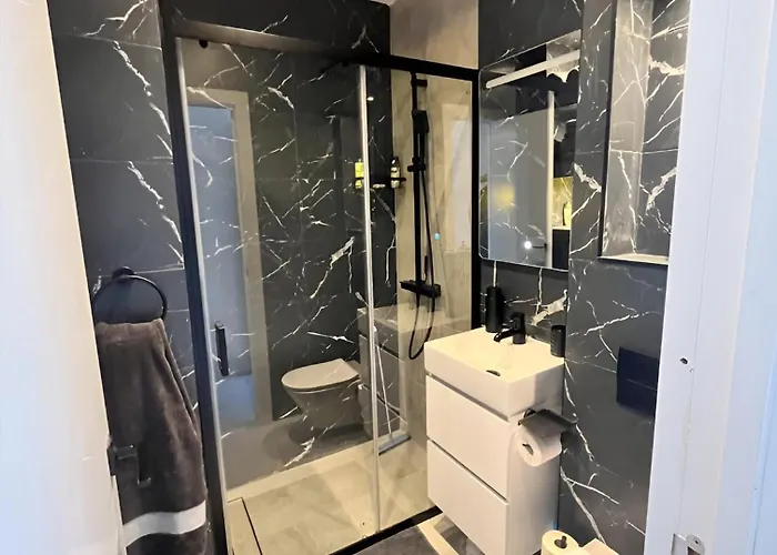 Gabriela Relax Apartment Brasov